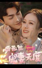 傅先生宠妻无度第01集