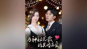 与神秘总裁的先婚后爱第01集