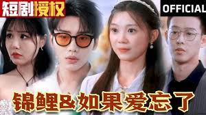 如果爱忘了（锦鲤）第01集