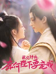 医见钟情，奈何陛下偏要宠我第21-40集