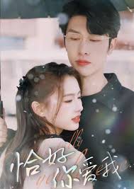 恰好你爱我第56集