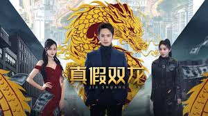 真假双龙 归龙 冒牌赘婿第第01集