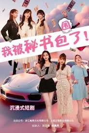 我被秘书包围了第01集