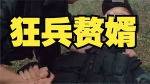 狂兵赘婿全集(大结局)