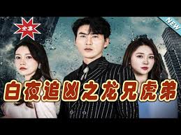 白夜追凶之龙兄虎弟 龙虎之喋血追凶第72集