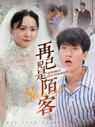 再见已是陌客 归来的星光第05集