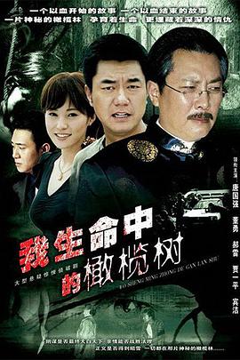 我生命中的橄榄树第12集