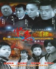紧急链接第10集