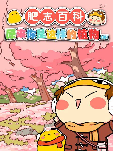肥志百科 原来你是这样的植物篇第21集