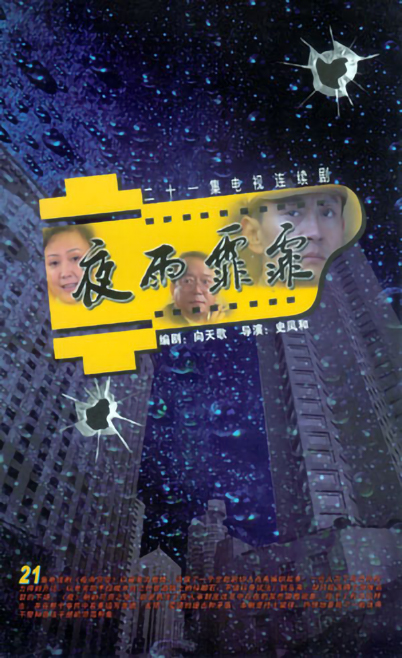 夜雨霏霏第14集