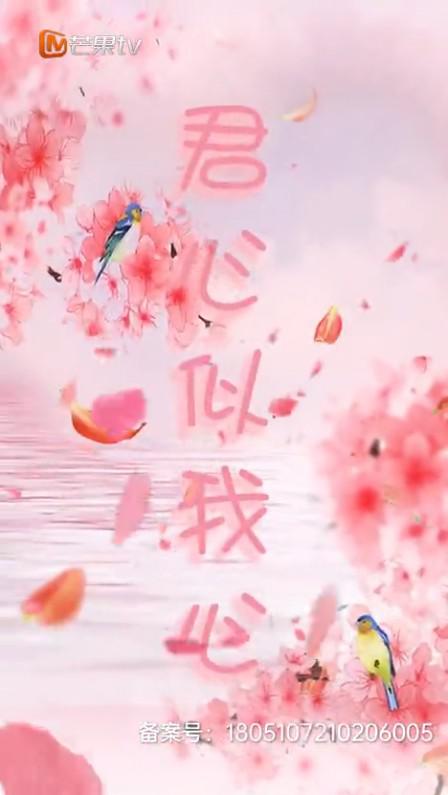 君心似我心第09集