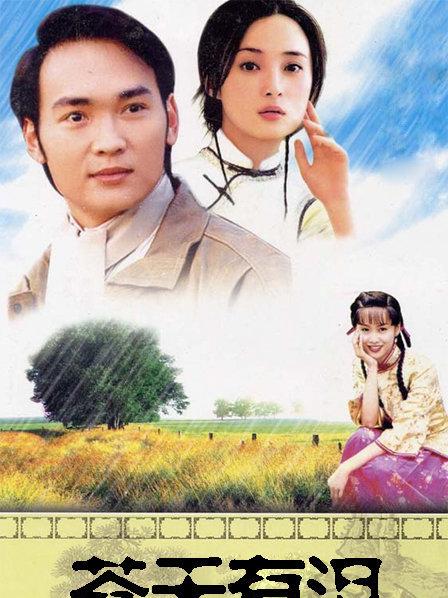 苍天有泪第22集