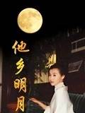 他乡明月第15集