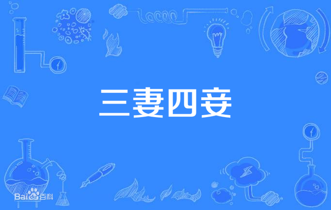 三妻四妾第19集