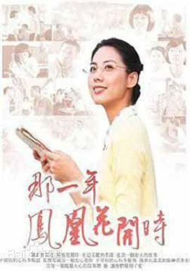 那一年凤凰花开时第30集