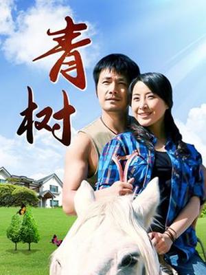 青树第14集