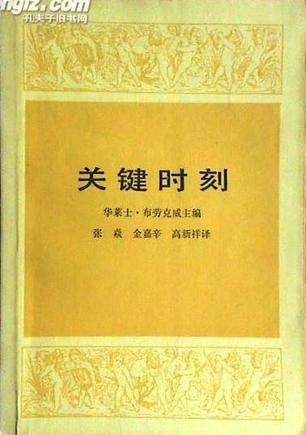 关键时刻2002第13集