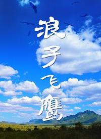 浪子飞鹰第04集