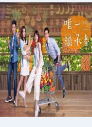 唯一继承者第17集