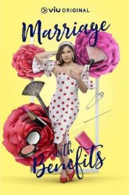 假扮夫妻第02集