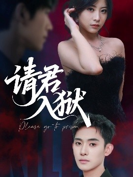 请君入狱第01-31集(大结局)