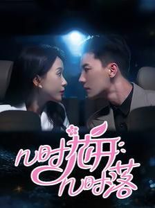 几时花开几时落第41-60集(大结局)