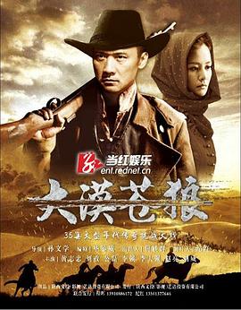 大漠苍狼第33集