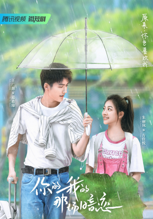 你的我的那场暗恋第13集