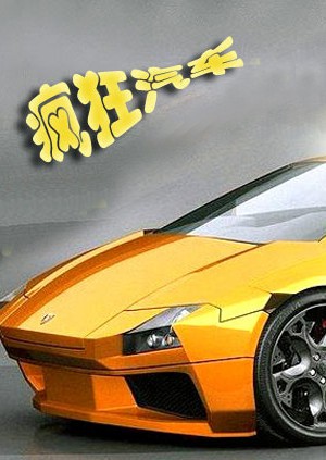 疯狂汽车第20090104期