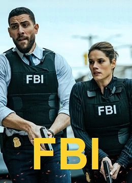 联邦调查局 第五季第11集