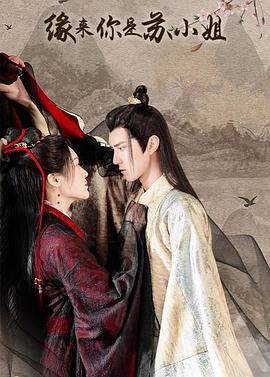 缘来你是苏小姐第12集