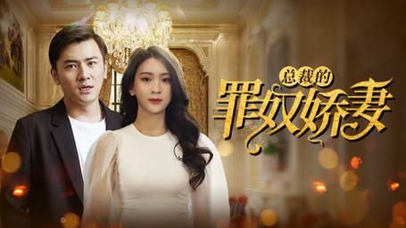 总裁的罪奴娇妻第1-20集