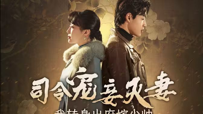 司令宠妾灭妻，我转身出府嫁少帅第01-30集