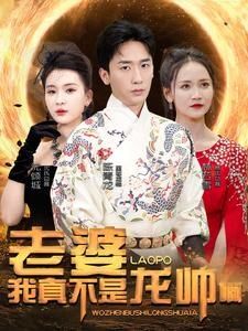 老婆我真不是龙帅啊第1-20集