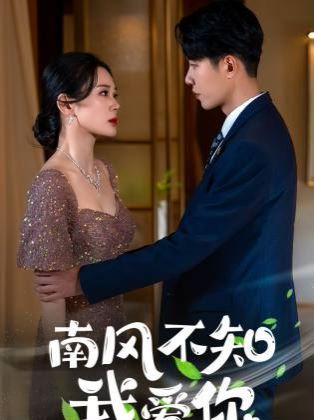 南风不知我爱你第41-60集