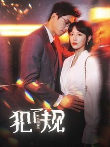 犯了规第21-40集