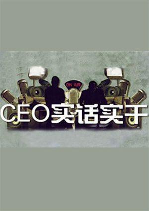 CEO实话实干第20101213期4
