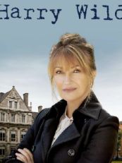 野探哈莉 第三季第06集(大结局)