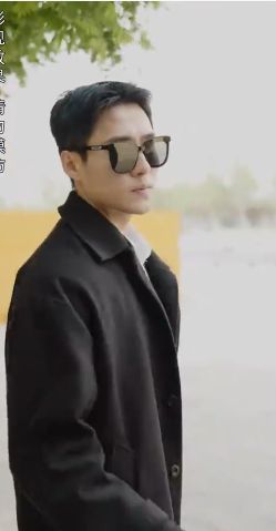 我成了失忆霸总的心尖宠第81-100集(大结局)