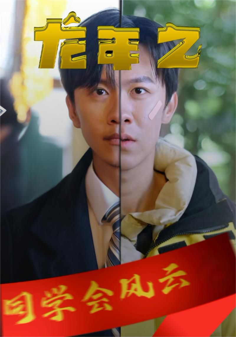 龙年之同学会风云第1-20集