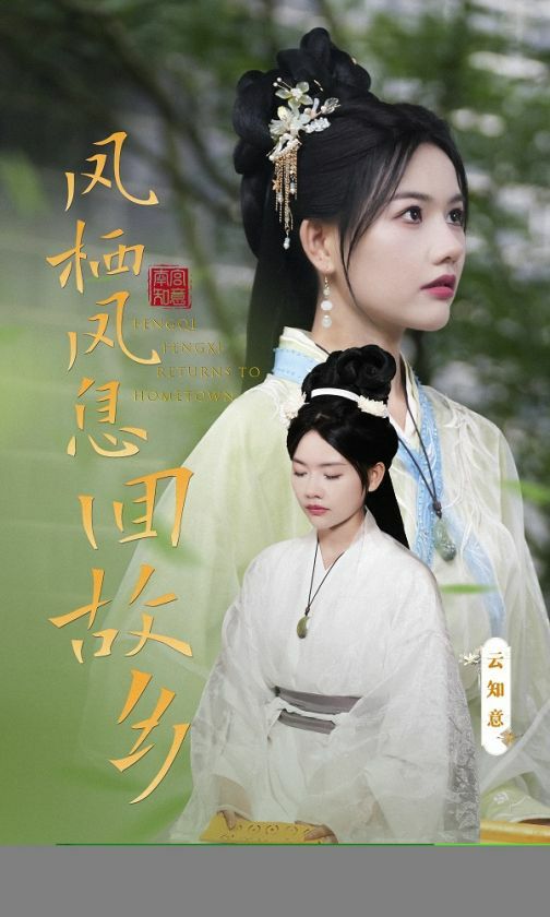 凤栖凤息回故乡第1-20集