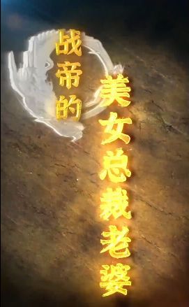 战帝的美女总裁老婆第61-80集