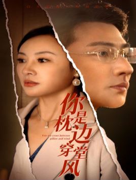 你是枕边穿堂风第41-60集