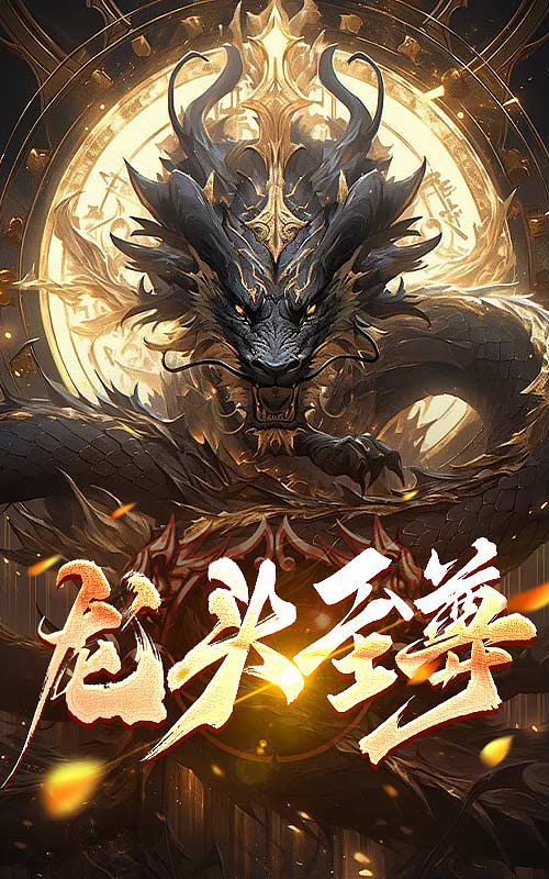 龙头至尊第61-73集(大结局)