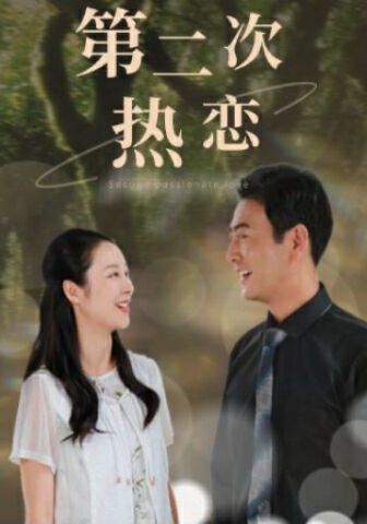 第二次热恋第41-48集(大结局)
