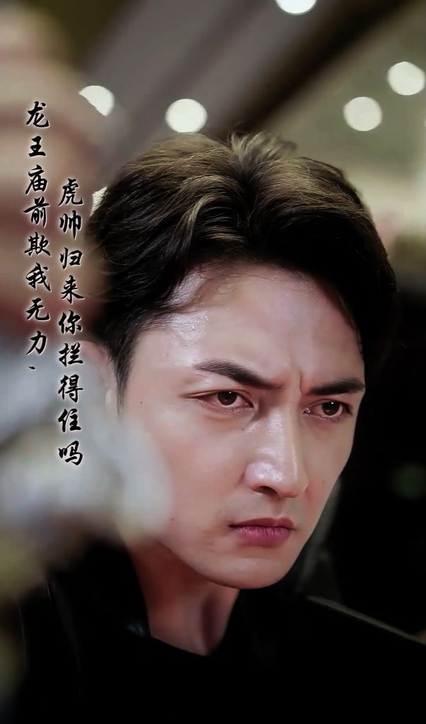 龙王庙前欺我无力，虎帅归来你拦得住吗龙第1-20集