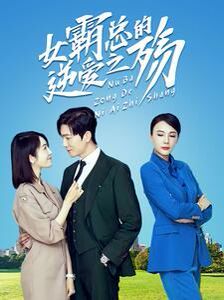 女霸总的逆爱之殇第41-60集(大结局)