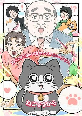 转生成猫的大叔第44集