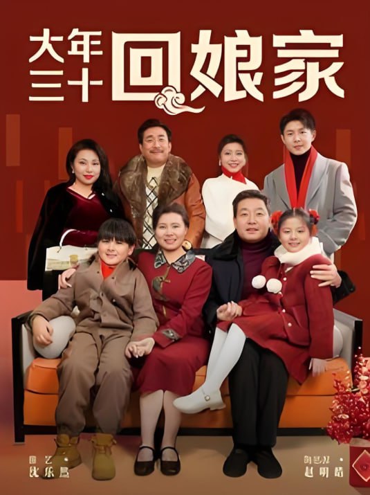 大年三十回娘家第19集