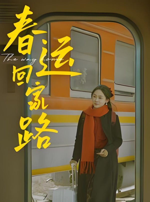 春运回家路第01集
